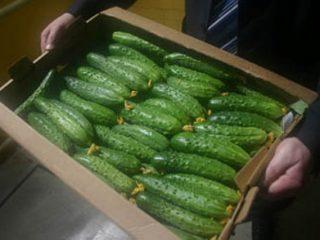 الخيار الأكثر إنتاجية