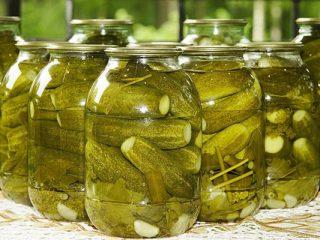 The best varieties of cucumbers for pickling