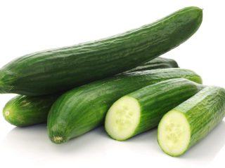 Varieties of long cucumbers for the greenhouse