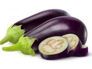 Eggplant variety Balu