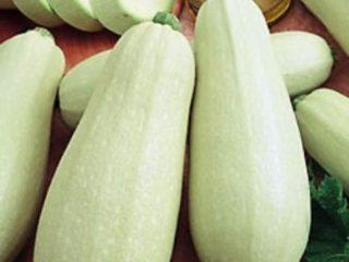 Zucchini Housewife's Dream
