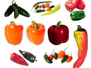 The most unpretentious varieties of peppers