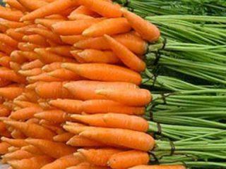 أصناف من الجزر الصغيرة