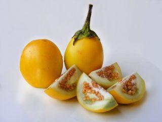 Odrody žltých baklažánov