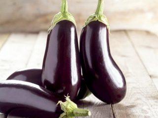 Eggplant variety Diamond