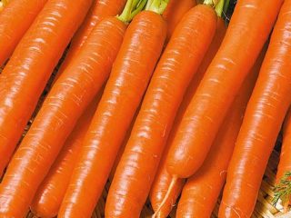 Mrkvový vitamín 6