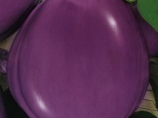Eggplant Piglet