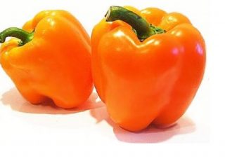 De beste soorten oranje paprika's