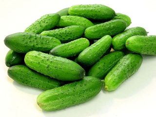 أقرب أصناف النضج من الخيار