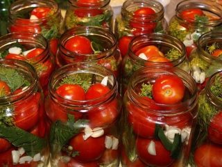 Najlepšie odrody paradajok na morenie a konzervovanie