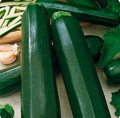 Zucchini Tristan F1