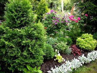 Sempadan campuran dalam reka bentuk landskap + foto