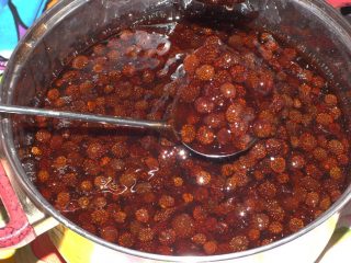 مربى الفراولة البرية اللذيذة