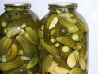 Recipes for lightly salted cucumbers in jars for the winter