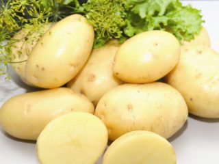 Early and ultra-early potato varieties