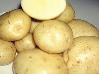 Potato Melody