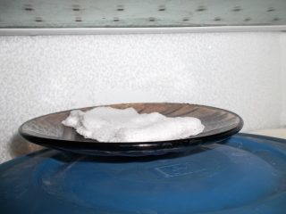 Cara merawat benih tomato sebelum ditanam