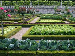 How to beautifully make beds in the garden + photo