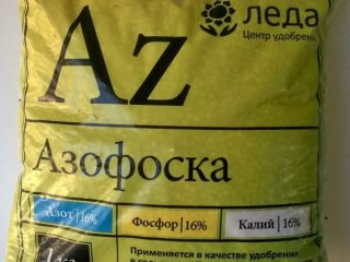 Hnojenie paradajok azofoskou