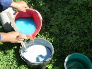 Bagaimana untuk mencairkan tembaga sulfat untuk memproses tomato