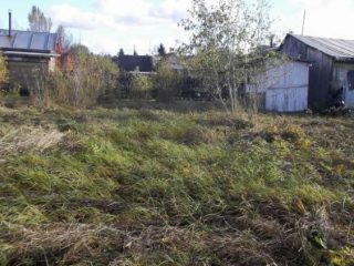 How to develop an overgrown plot for a vegetable garden