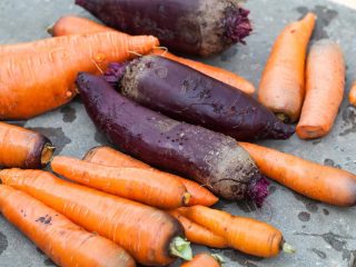 How to store beets and carrots in the cellar