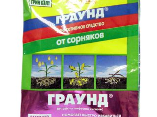 Herbicide Ground - ochrana proti burine: recenzie