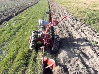 حفر البطاطس باستخدام آلة التعشيب + فيديو