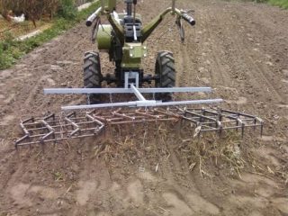 Plivitul cartofilor cu un tractor de mers pe jos 