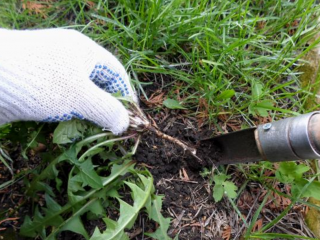 DIY weed remover
