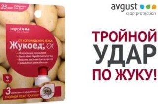 Jed z chrobáka zemiakového v Colorade: recenzie