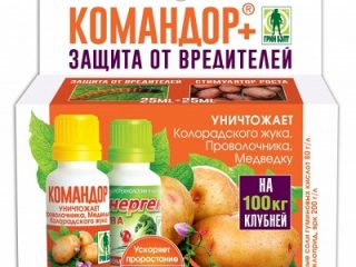 Velitel z mandelinky bramborové: recenze 