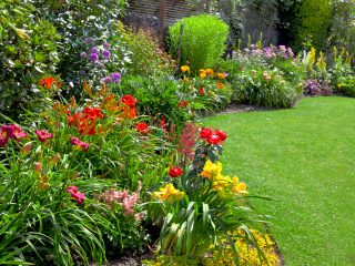 What perennials are planted in the fall?