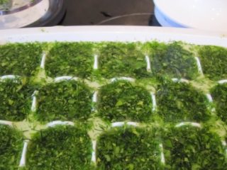 How to preserve greens for the winter