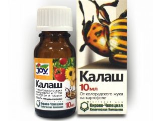 Lék na mandelinky bramborové Kalash: recenze 