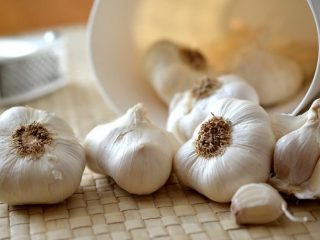 Preparing garlic for storage