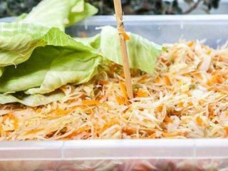 A simple recipe for sauerkraut with photos