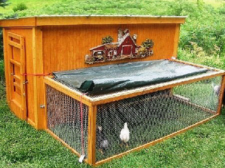 DIY chicken coop for the summer