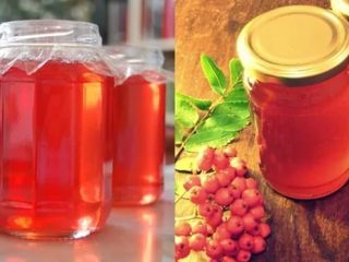 Hacer vino de serbal casero