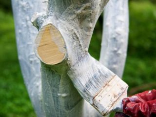 Whitewashing apple trees in autumn: composition