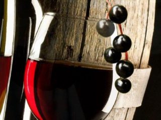 Vino casero de cereza de pájaro rojo: receta