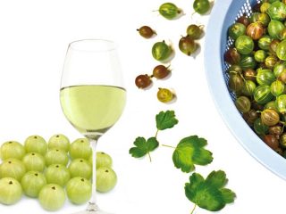 Vino de grosella casero
