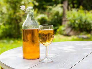 Zelfgemaakte appelsapwijn: recept