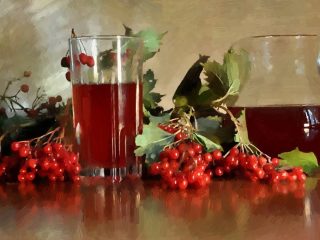 How to make viburnum tincture