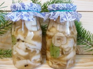 How to pickle oyster mushrooms for the winter
