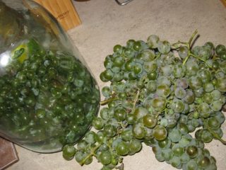 Recetas caseras de vino de uva verde