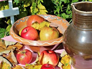 Vino casero de ranetki: una receta sencilla