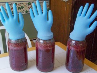 Homemade jam wine