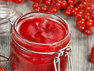 Prípravky na kalinu na zimu: zlaté recepty