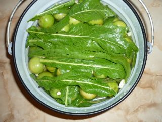 Cum să fermentezi roșiile verzi într-o găleată